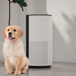 Cheap Sleep Mode Pet Air Purifier Capture Pet Dander And Other Allergens 8 hours Timer for sale