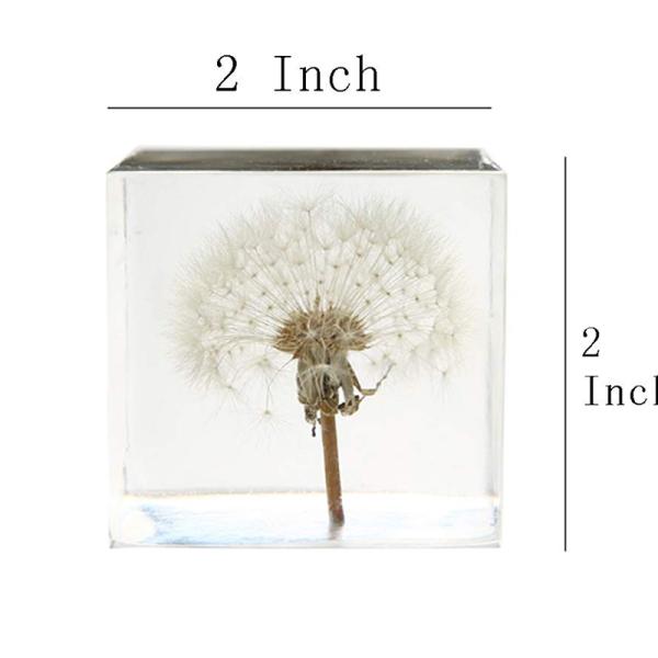Cubic Flower Paperweight With Dandelion Inside Embed Processing