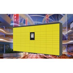 Cheap Metal School Storage Luggage Lockers with Smart Locks Different Payment Devices Access for sale