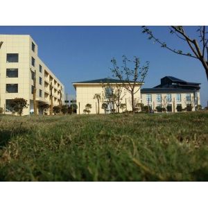 Nanjing Saiko Controls Co.Ltd