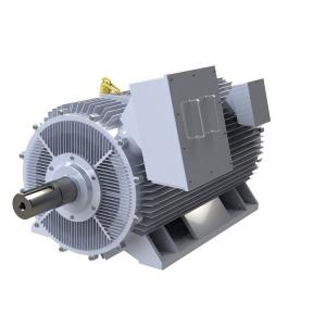Cheap IP54 Brushless Permanent Magnet Motor Water Cooled Variable Speed 3 Phase Motor for sale