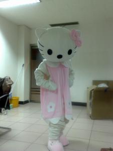adults popular cartoon Hello-Kitty mascot costumes with plush 