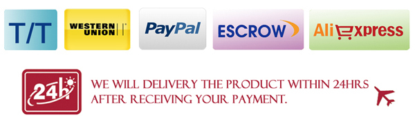 Roland VS 640 CISS (Continuous Ink Supply System) Without Chip