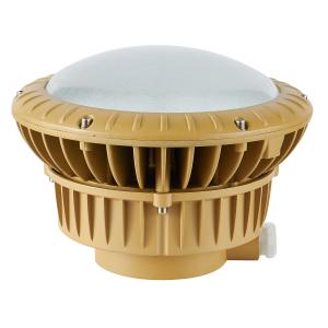 Cheap Lightweight 11.2KG Explosion Proof LED Light Fixture NEW-FBP-80W IP67 for sale