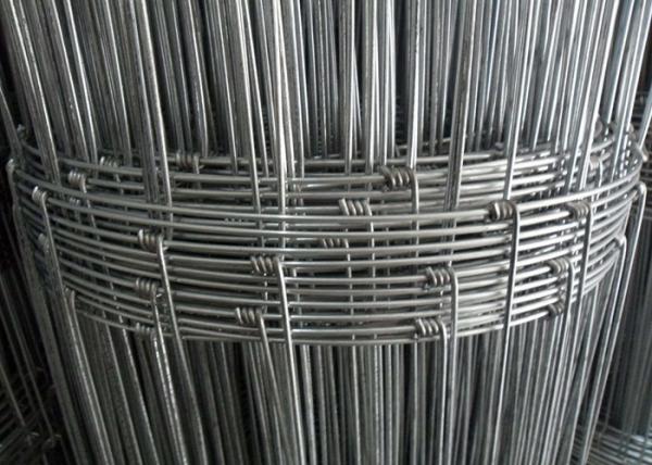 Quality Hinge Joint Cattle Wire Fence High Strength For Protecting Farmland wholesale
