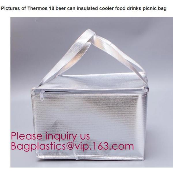 Accept Customized Logo And Packing Non Woven Insulated Lunch Thermal Cooler Bag,Insulated Thermal Pizza Bag & Pizza Carr