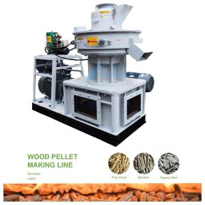 Cheap 450 Model Wood Pellet Mill Machine 1000kg/H Vertical Ring Die Pellet Mill Biomass for sale
