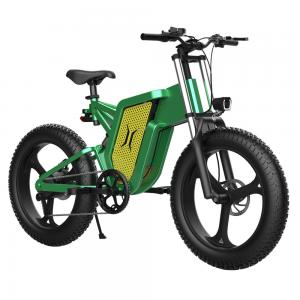 Cheap Ladies 31 - 60km Electric City Bikes With DC Brushless High Speed Motor for sale