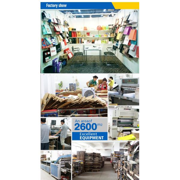 Custom design women's t-shirt packaging paper bag clothing shopping bags