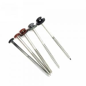 China Aisi 316 SS A4 Torx Pan Coated Painted Head Timber Screw Type 17 W / EPDM Washer on sale
