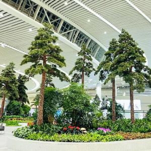 Cheap 10m Height Artificial Yew Tree Fake Snow On Plants For Shopping Mall for sale