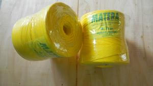 Cheap ISO Certificate Packing Agriculture Rope Banana Baler Twine High Breaking Strength for sale
