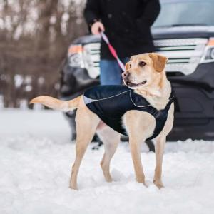 Cheap  				Waterproof Dog Jacket, Soft Fleece Lined Dog Coat for Winter 	         for sale