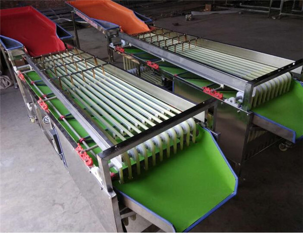 small dates cherry waxberry plum grading machine, dates sorting machine
