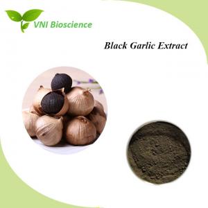 Cheap Antiacid Plant Herbal Extract Antibacterial Black Garlic Extract Allicin for sale