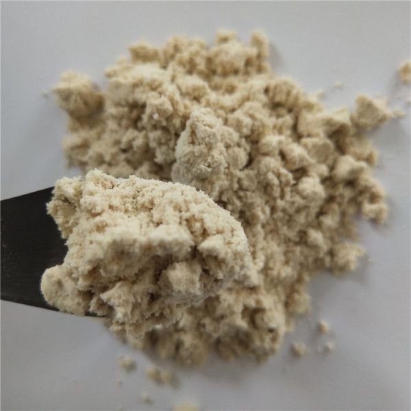 avocado powder buy best dried avocado powder health benefits supplement products drink dosage pills