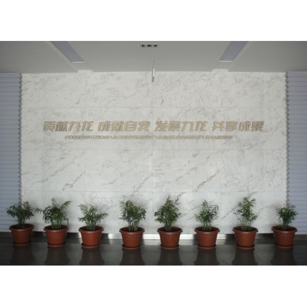 Comaxi (chongqing) Trading Company Limited