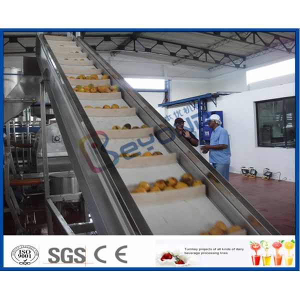 2TPH ~ 20TPH SUS304 Mango Processing Line With 2kg Cans Filling Machine