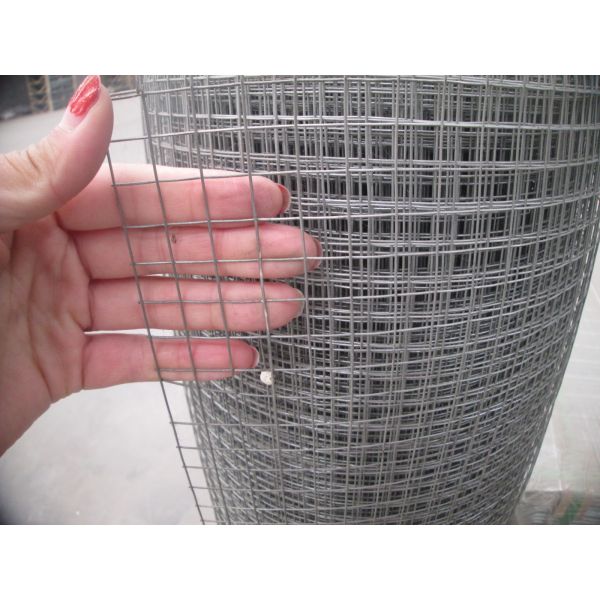 1 2 Inch Welded Wire Mesh Fence / Galvanised Welded Mesh Rolls For Farm