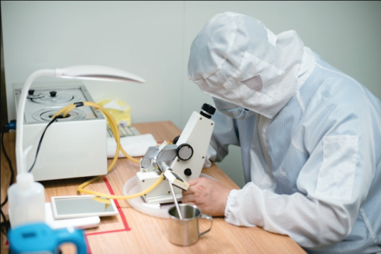 BEE STAR TO GLORIFY YOUR WONDERFUL HONEY LIFE