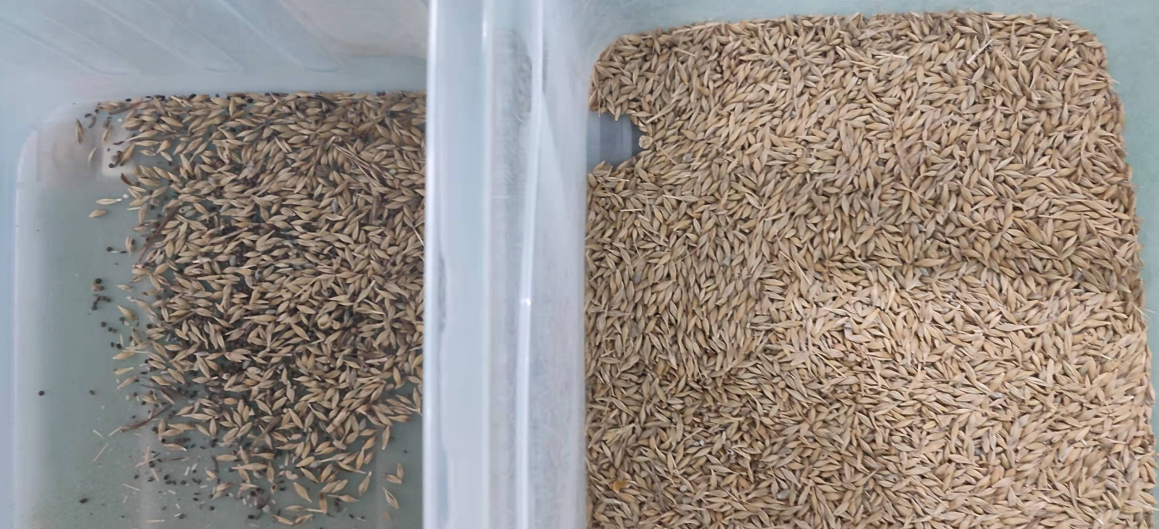 Mini Multi Function Grain Sorting Machine For Grain Cereal