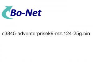 Cheap PDF File Cisco Software Licensing C3845-Adventerprisek9-Mz.124-25g.Bin for sale