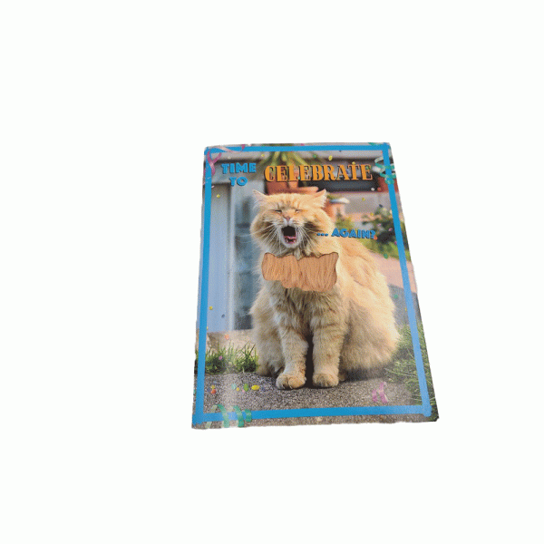 ODM Voice Recording Birthday Cards CE ROHS Certification With PCB Board