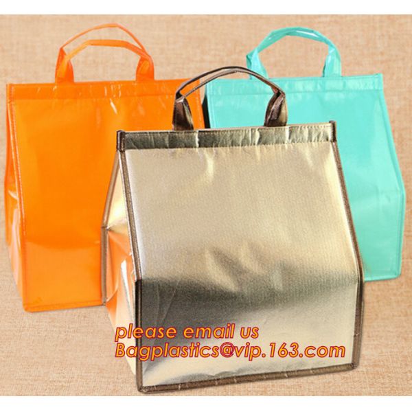 Freezer Bags Color Cold Insulation Waterproof Convenient Portable Ice Meal Packages Refrigerator Cooler Lunch Bag bageas