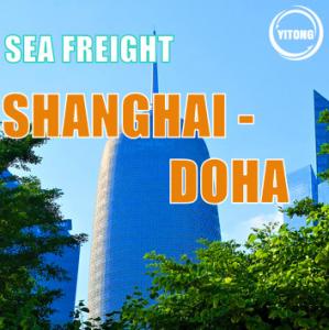 Cheap Shanghai to Doha Qatar International Sea Freight Service 25 days for sale