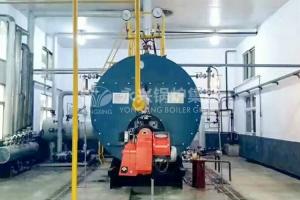 Cheap Horizontal Gas Fired Hot Water Boiler Condensing Boiler Hot Water Tank for sale