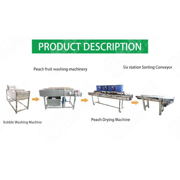 SS304 Vegetable And Fruit Washing Machine Mango Processing Line