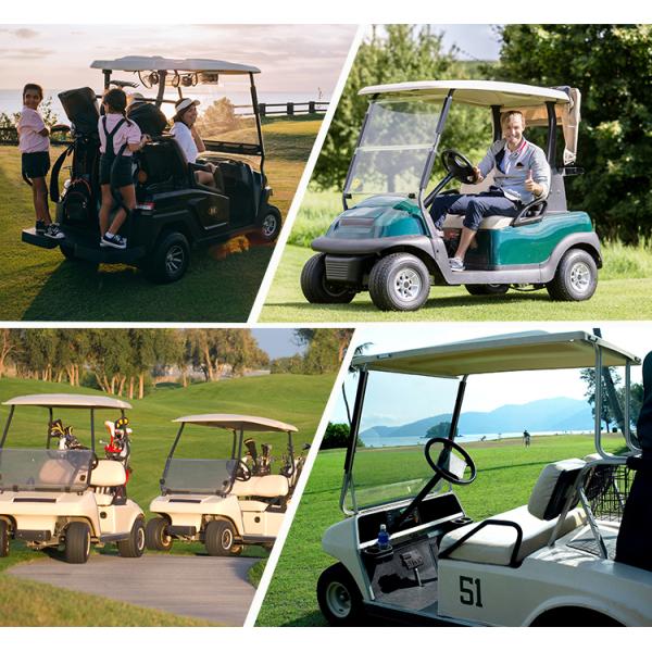 Customizable color 4-seater EV lithium lead aic battery golf buggy cart rainproof curtain for hotel farm garden club