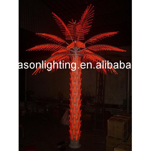 lighted palm trees