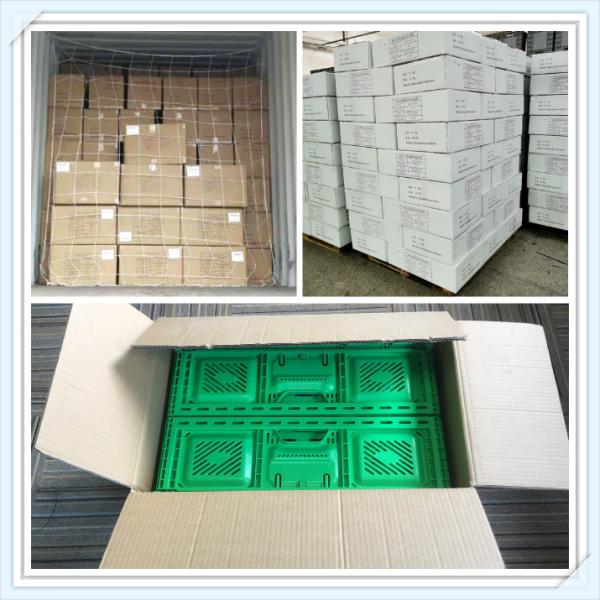 PP Vegetable Packing Plastic Moving Box Containers Crate Stackable Foldable Crate