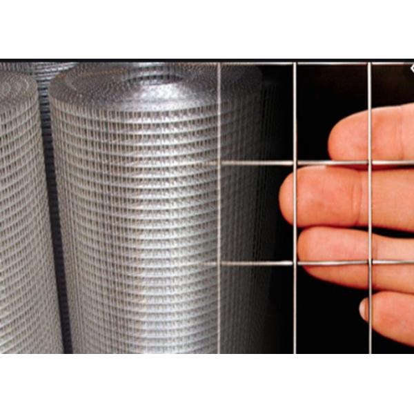 Electric Fusion Galvanised Welded Mesh Rolls Stainless Steel Wire 19 X19x1.6mm Dia