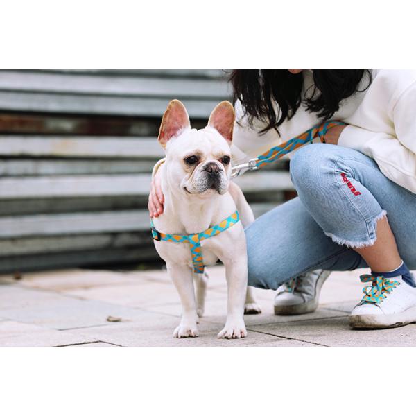 X Xl Xxl Xxxl Large Small Dog Halters No Pulling To Stop Pulling Dog Chest Belt