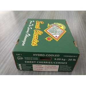 China Recycled high quality cheap full color printing carton fruit box on sale