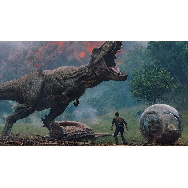 3D Screen Interactive Motion Race Simulator Games Customizable Color Shape