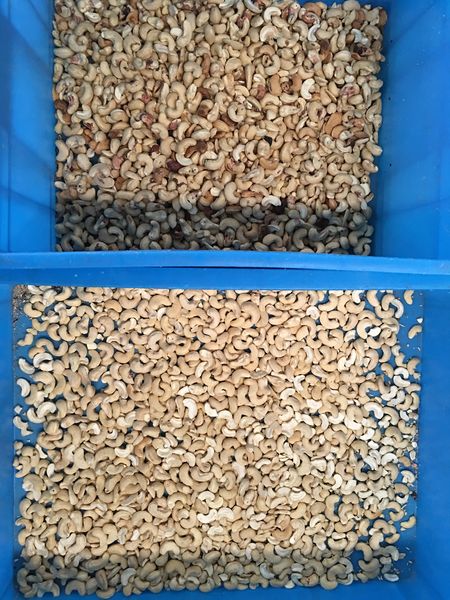 CCD Camera Cashew Nut Color Sorting Machine Multiple Function
