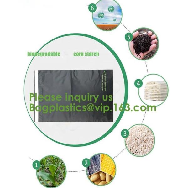 Compostable biodegradable packaging mailing bag with handle,Biodegradable compostable plastic courier shipping envelope