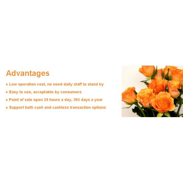 Online Shopping Flower Vending Machine Pickup Remote Control Locker