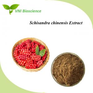 Cheap Natural Schisandra Chinensis Extract Powder 1% Schisandrin Halal Certified for sale