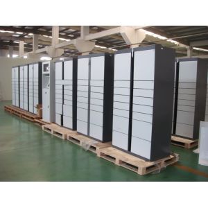 Cheap Changing Room Smart Luggage Cabinet Storage Locker , Electronic Door Locker for sale
