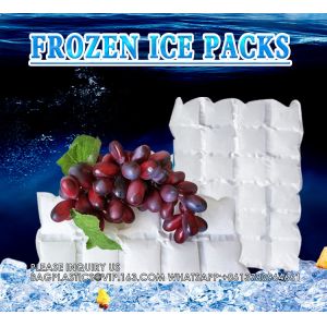China Ice Pack Sheet Absorption Water Fabric Reusable Freezer Dry Ice Cold Packs Gel Packs For Fresh Food Delivery on sale