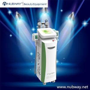 Cheap September Promotion!!! NUBWAY low price cryolipolysis apparatus for sale