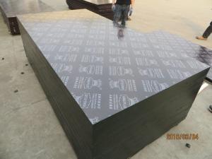 Cheap KINGPLUS FILM FACED PLYWOOD,(hot sale) film faced plywood/shuttering plywood/marine plywood for construction Australia for sale
