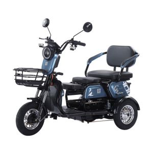 Buy cheap Household Small Lady Pick Up Children Leisure Electric Tricycle 70-90KM from wholesalers