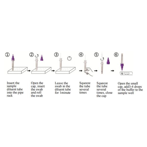 OEM ODM Antigen Rapid Testing Kit 5 Boxes Packing YBTC Certification