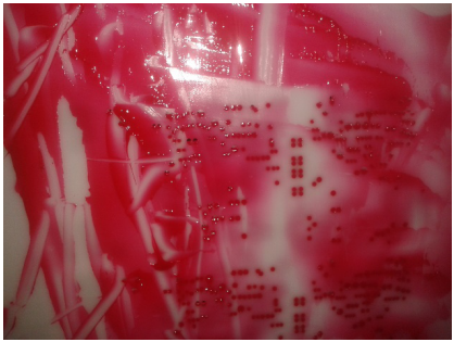 Pneumatic Stencil Cleaning Machine