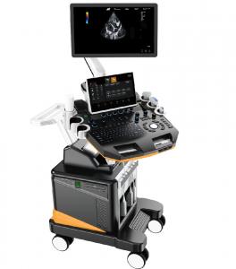 Cheap 3D 4D Trolley Dog Veterinary Ultrasound Machine With 21.5